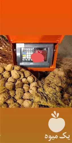 خرید و فروش عمده گردو کاغذی در شیراز در گروه خرید و فروش گردو در یکمیوه -عکس1
