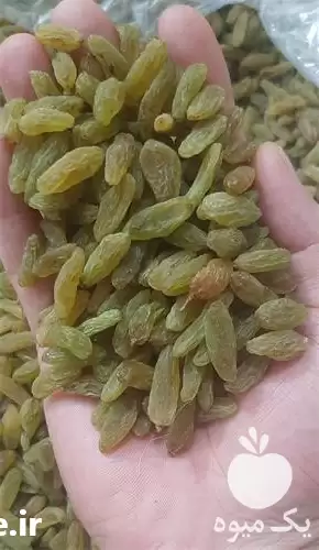 فروش عمده کشمش سبز قلمی در مشهد در گروه خرید و فروش آجیل در یکمیوه -عکس1