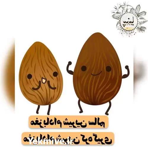 قیمت خرید مغز بادام شیرین سالم در گروه خرید و فروش بادام در یکمیوه -عکس1