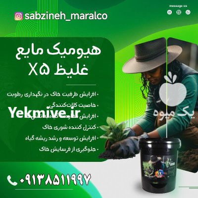 بهترین کود برای رشد سریع نهال در یزد در گروه خرید و فروش کود مایع در یکمیوه -عکس1