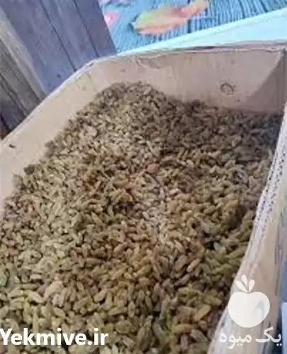 قیمت خرید قیمت انواع کشمش در قزوین در گروه خرید و فروش آجیل در یکمیوه -عکس1