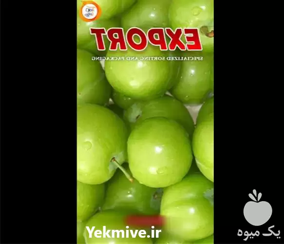 تامین و فروش عمده آلوچه در اصفهان در گروه خرید و فروش آلو در یکمیوه -عکس1