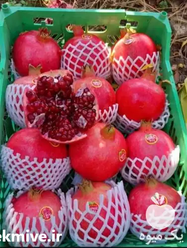 انار با کیفیت صادراتی و غیره در گروه خرید و فروش انار در یکمیوه -عکس1
