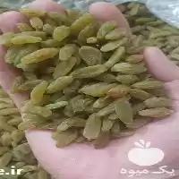 فروش عمده کشمش سبز قلمی در مشهد در گروه خرید و فروش آجیل در یکمیوه