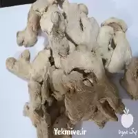 فروش زنجبیل قلم چینی در گروه خرید و فروش گیاهان دارویی در یکمیوه