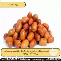 فروش خرید نهال سنجد قزل ضمانتی در تهران در گروه خرید و فروش نهال در یکمیوه