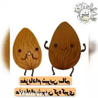 قیمت خرید عمده جزیی مغز بادام در گروه خرید و فروش بادام در یکمیوه