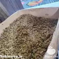 قیمت خرید قیمت انواع کشمش در قزوین در گروه خرید و فروش آجیل در یکمیوه