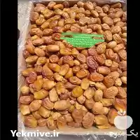 قیمت خرید خرمای زاهدی ممتاز در ارومیه