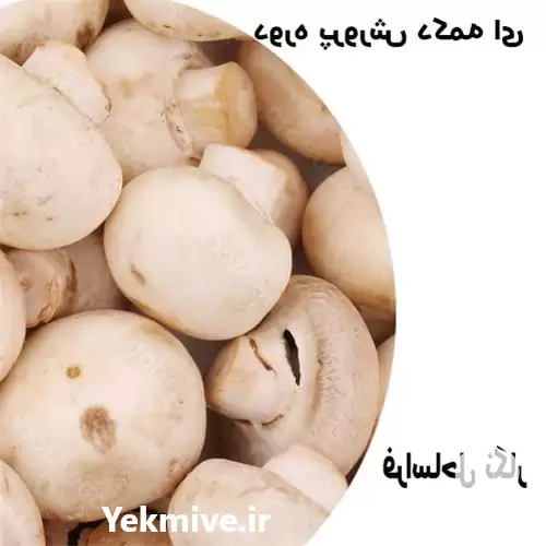  راهنمای جامع پرورش قارچ دکمه‌ای از آغاز تا برداشت در گروه دوره آموزش کشاورزی در یکمیوه -عکس1