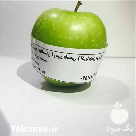 خرید نهال شناسنامه دار سیب سبز در تهران در گروه خرید و فروش نهال میوه در یکمیوه -عکس1