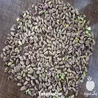 فروش مغز پسته فروش انواع مغز در تبریز در گروه خرید و فروش پسته در یکمیوه