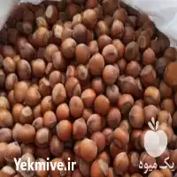 قیمت خرید عمده فندق در رودسر در گروه خرید و فروش فندق در یکمیوه