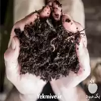 فروش بهترین قیمت کمپوست قارچ را در اردبیل در گروه خرید و فروش قارچ در یکمیوه