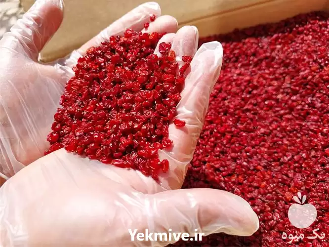 فروش بهترین قیمت زرشک درجه یک در ارومیه در گروه خرید و فروش زرشک در یکمیوه -عکس1