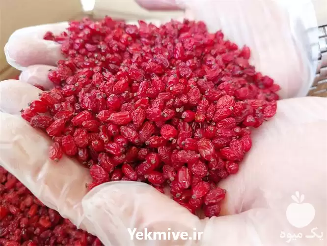 قیمت خرید زرشک اناری درجه یک در هرمز در گروه خرید و فروش زرشک در یکمیوه -عکس1