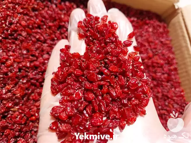 قیمت خرید عمده بی واسطه زرشک در کرج در گروه خرید و فروش زرشک در یکمیوه -عکس1