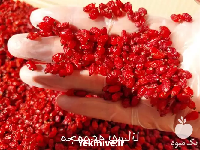 خرید و فروش عمده زرشک در ارومیه در گروه خرید و فروش زرشک در یکمیوه -عکس1