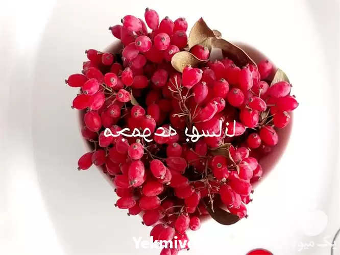 قیمت خرید زرشک زعفران بدون واسطه در سنندج در گروه خرید و فروش زعفران در یکمیوه -عکس1