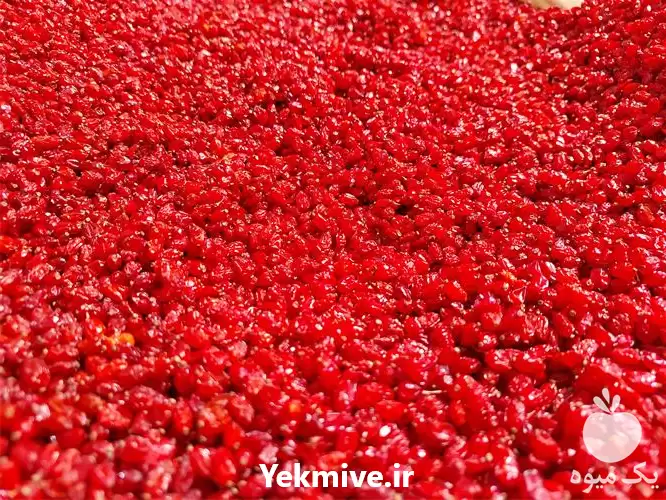 قیمت خرید عمده زرشک امسالی در اهواز در گروه خرید و فروش زرشک در یکمیوه -عکس1