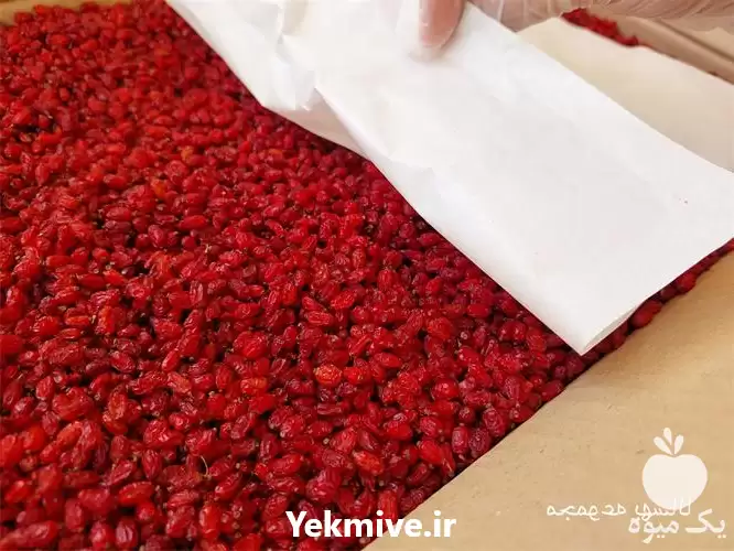 قیمت خرید زرشک زیر تالاری در هرمز در گروه خرید و فروش زرشک در یکمیوه -عکس1