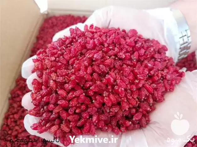 فروش نازلترین قیمت زرشک پفکی اعلا در هرمز در گروه خرید و فروش زرشک در یکمیوه -عکس1