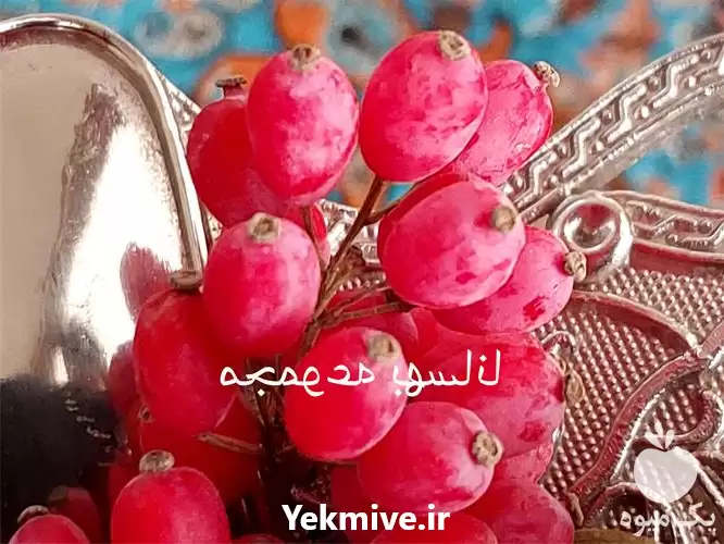 خرید اینترنتی زرشک تازه فروش عمده در اصفهان در گروه خرید و فروش زرشک در یکمیوه -عکس1