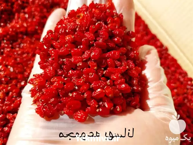 فروش زرشک پفکی در شیراز در گروه خرید و فروش زرشک در یکمیوه -عکس1