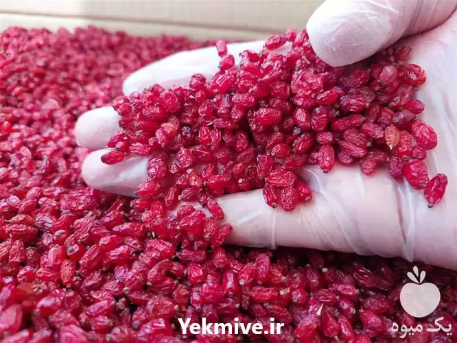 فروش عمده زرشک پفکی و اناری در تبریز در گروه خرید و فروش زرشک در یکمیوه -عکس1