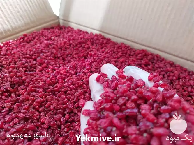 پخش فروش عمده زرشک امسالی در زنجان در گروه خرید و فروش زرشک در یکمیوه -عکس1