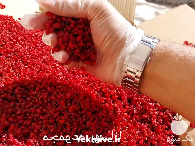 فروش عرضه عمده زرشک بدون واسطه در اردبیل در گروه خرید و فروش زرشک در یکمیوه -عکس1