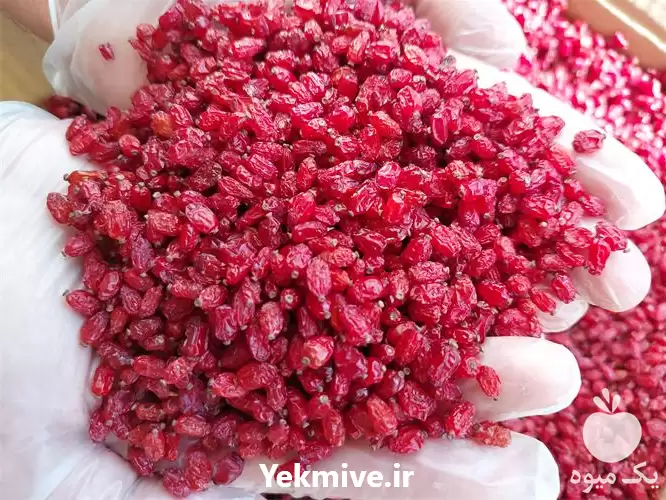 قیمت خرید عمده زرشک و بدون در اصفهان در گروه خرید و فروش زرشک در یکمیوه -عکس1
