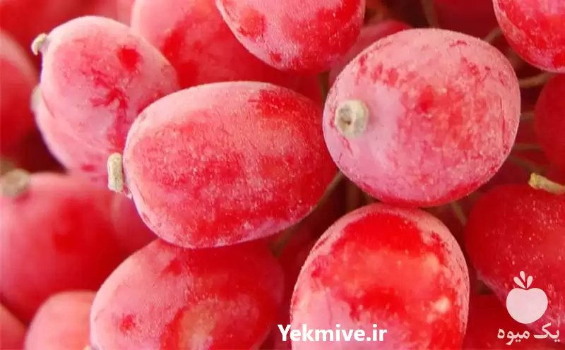 قیمت خرید عمده زرشک در اهواز در گروه خرید و فروش زرشک در یکمیوه -عکس1