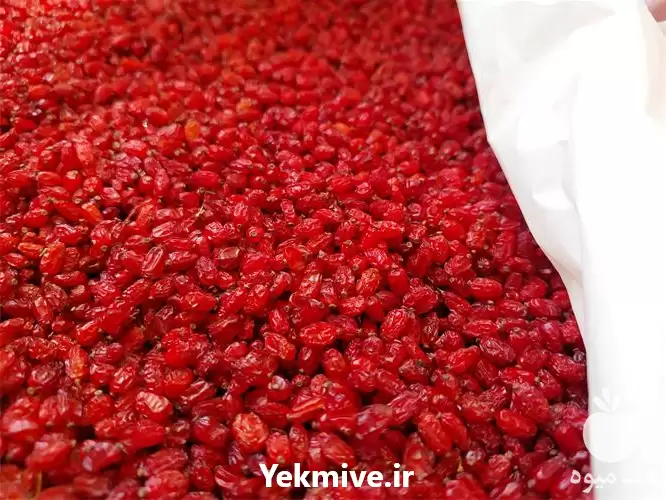 خرید عمده زرشک قائنات بدون واسطه در اصفهان در گروه خرید و فروش زرشک در یکمیوه -عکس1