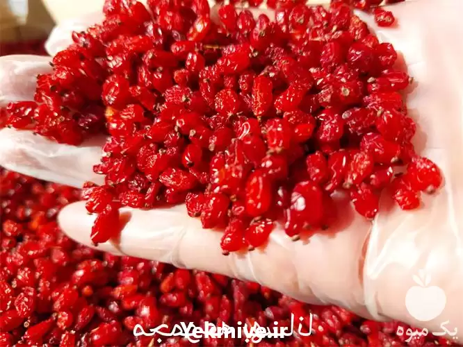 زرشک دانه اناری فروش زرشک در کرج در گروه خرید و فروش زرشک در یکمیوه -عکس1