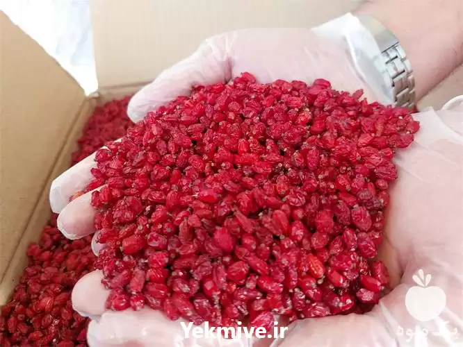 زرشک اعلا فروش زرشک در ایلام در گروه خرید و فروش زرشک در یکمیوه -عکس1