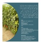 قیمت بذر گوجه فرنگی کاردلن در گروه خرید و فروش بذر گوجه در یکمیوه