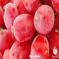 قیمت خرید عمده زرشک در اهواز در گروه خرید و فروش زرشک در یکمیوه