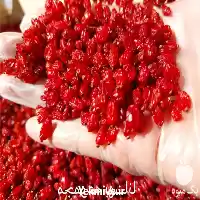 زرشک دانه اناری فروش زرشک در کرج در گروه خرید و فروش زرشک در یکمیوه