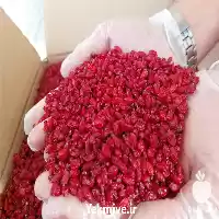 زرشک اعلا فروش زرشک در ایلام در گروه خرید و فروش زرشک در یکمیوه