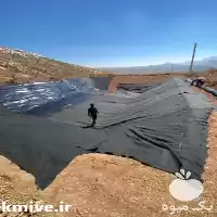قیمت دهی فروش ورق پلیمر استخر در ورزنه در گروه خرید و فروش ژئوممبران و ژئوتکستایل در یکمیوه