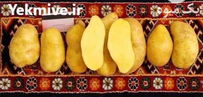 فروش سیب زمینی درجه یک رقم در تهران در گروه خرید و فروش سیب زمینی در یکمیوه -عکس1