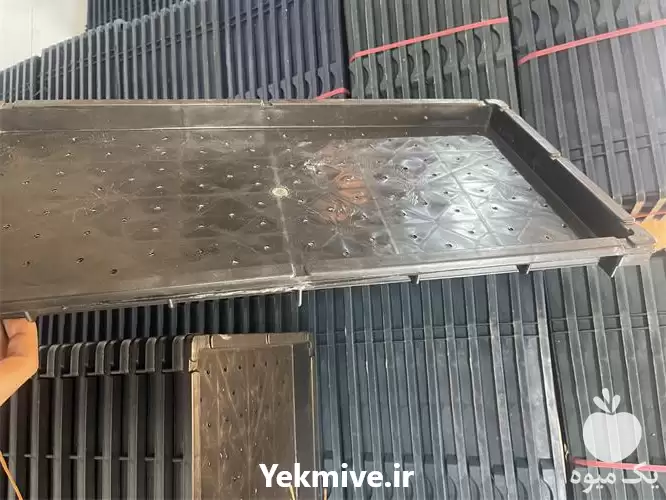 فروش سینی نشا برنج در رشت در گروه خرید و فروش نشا در یکمیوه -عکس1