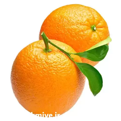 خرید و فروش مرکز انواع میوه در ساری در گروه خرید و فروش محصولات کشاورزی در یکمیوه -عکس1