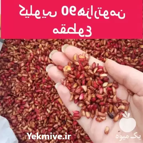 قیمت خرید دانه انار خشک گوشتی در زاهدان در گروه خرید و فروش انار در یکمیوه -عکس1
