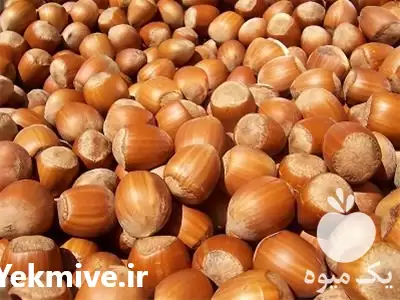 خرید فندق صادراتی و اعلاء سال در کرج در گروه خرید و فروش فندق در یکمیوه -عکس1