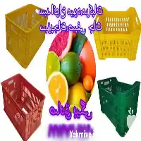 فروش سبد میوه و مرکبات در قزوین در گروه خرید و فروش انواع سبد در یکمیوه