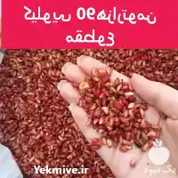 قیمت خرید دانه انار خشک گوشتی در تهران در گروه خرید و فروش انار در یکمیوه