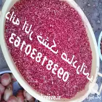 فروش دانه انار خشک در کرمان  در گروه خرید و فروش انار در یکمیوه