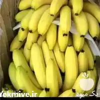 قیمت خرید موز پاکستانی درجه یک در شیراز در گروه خرید و فروش موز در یکمیوه